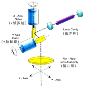 ms-c